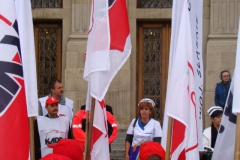 pikieta10