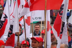pikieta13